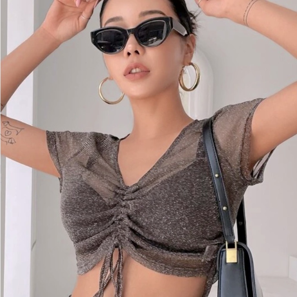 Sheer Brown Tie Crop Top